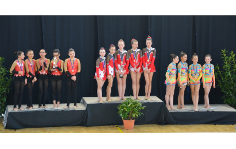 Résultats championnats régionaux par groupe